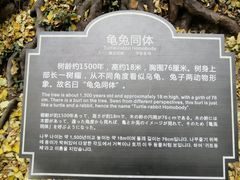 -皇藏峪国家森林公园