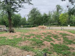 -秦皇岛野生动物园