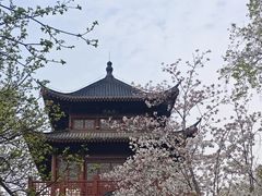 -堤角公园