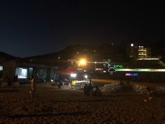 -枸杞岛