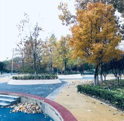 -大望京儿童游乐场