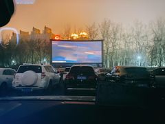 -枫花园汽车电影院(朝阳公园店)