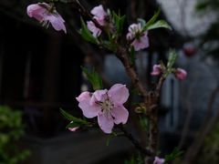 -老门东历史文化街区