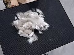 -爱洗澡的猫(天河路店)