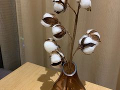 -重庆观音桥华美达安可酒店