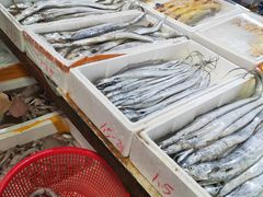 -众彩物流水产市场