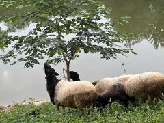 -北运河水利风景区