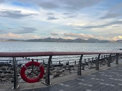 -ommo cafe(半岛城邦店)