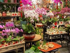 -豆豆花艺(新光天地店)