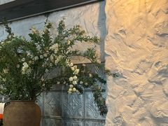 -Apollo·西班牙小酒馆(安福路店)