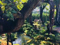 -Chom Cafe and Restaurant