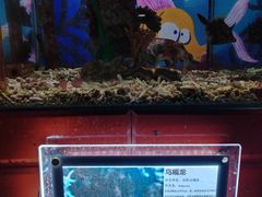 -太平洋海底世界