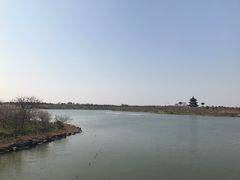 -上海海湾国家森林公园