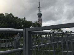 -广州雕塑公园