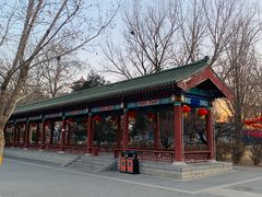 -莲花池公园