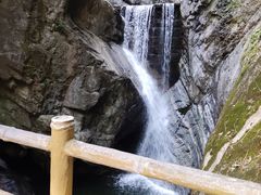 -牛背梁国家森林公园
