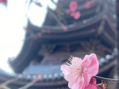 -安方塔