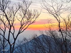 -紫金山山顶公园