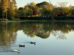 -南通濠河风景名胜区