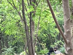 -北京西山国家森林公园