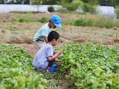 -前小桔亲子创意农场·草莓采摘·露营烧烤