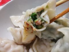 韭菜鲜肉饺-袁记云饺(邯郸路店)