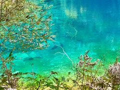 -叠溪松坪沟景区