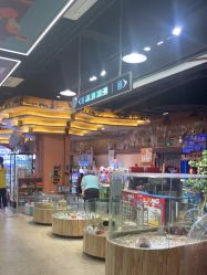 -卡通尼·Safari非洲探索乐园·生日会(金桥国际商业广场店)