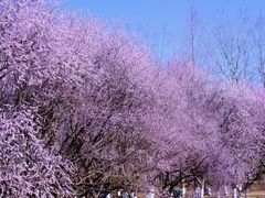 -北京奥林匹克公园