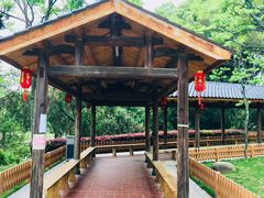 -金山公园