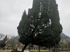 -花溪公园