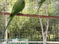 -水上乐园·欢乐世界