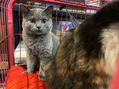 -第三空间·趣味桌游·轰趴.室内CS.剧本杀(大武汉1911店)