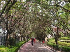 -西宁福茵长乐国际大酒店