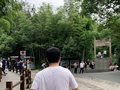 -紫金山山顶公园
