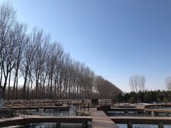 -东郊湿地公园