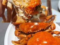 -神洲四海大酒楼(王府井澳门中心店)