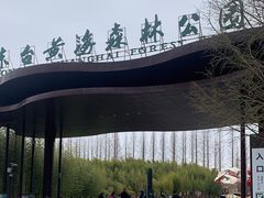 -黄海国家森林公园