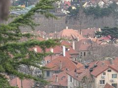 景点-信号山公园