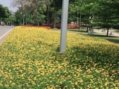 -广东花都湖国家湿地公园