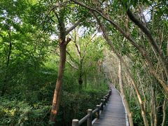 -新江湾城公园