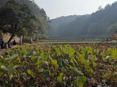 -韶山毛泽东同志故居