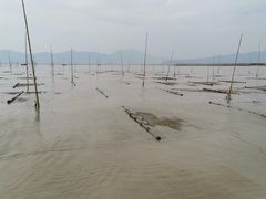 -北岐滩涂