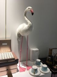 -INNEREAL英妮芮医疗美容