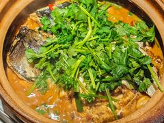 -九道菜有鸡鱼头(石鼓路店)