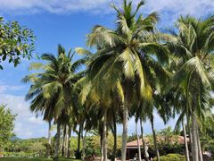 -三亚南山文化旅游区