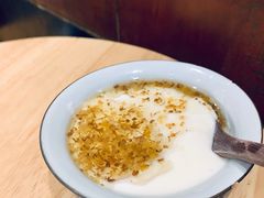 -古树酸奶(八廓南街店)