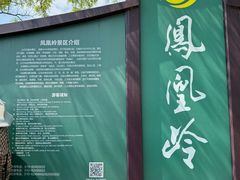 -北京凤凰岭