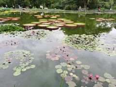 -国家植物园南园