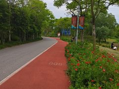 -上海长兴岛郊野公园